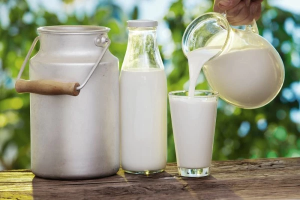 Whole Fresh Milk Price in U.S. Stands at $1.1 per kg, Fluctuating Mildly over 2022